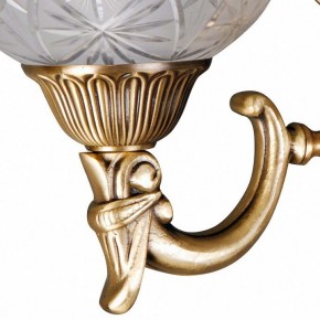 Бра MW-Light Афродита 2 317021902 в Озерске - ozersk.mebel24.online | фото 5