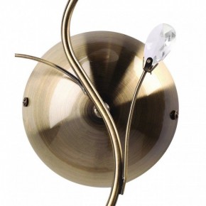 Бра MW-Light Нежность 7 356023001 в Озерске - ozersk.mebel24.online | фото 3