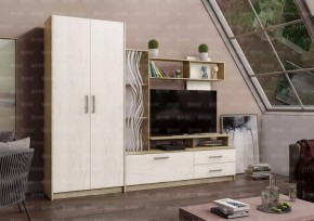 ДАРЬЯ Гостиная (Крафт серый/Крафт белый) в Озерске - ozersk.mebel24.online | фото