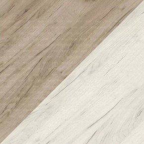 ДАРЬЯ Шкаф (Крафт серый/Крафт белый) гостиная в Озерске - ozersk.mebel24.online | фото 7