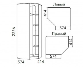 Детская Фанк Шкаф угловой Левый/Правый НМ 013.04-02 М в Озерске - ozersk.mebel24.online | фото 3