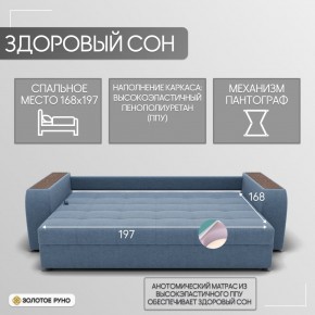 Диван Сенатор-1 (НПБ) в Озерске - ozersk.mebel24.online | фото 3