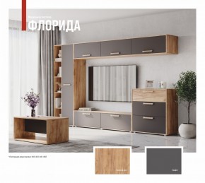 ФЛОРИДА Гостиная (модульная) дуб золотой/графит в Озерске - ozersk.mebel24.online | фото