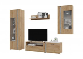 Гостиная Омега (Крафт золотой-Бетон) в Озерске - ozersk.mebel24.online | фото 2