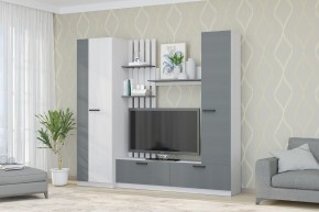 Гостиная Юджи (Анкор светлый/Графит) в Озерске - ozersk.mebel24.online | фото