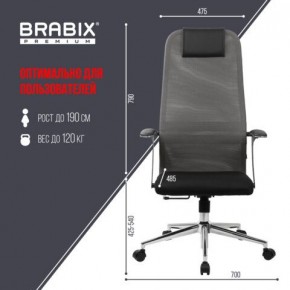 Кресло офисное BRABIX PREMIUM "Ultimate EX-801" хром, плотная двойная сетка Х2, черное/серое, 532918 в Озерске - ozersk.mebel24.online | фото 5