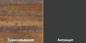 Кухонный гарнитур угловой Трансильвания 2600х1600 мм (Стол. 26 мм) в Озерске - ozersk.mebel24.online | фото 3