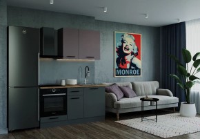 Кухонный гарнитур Виола 1600 (Стол. 26мм) в Озерске - ozersk.mebel24.online | фото