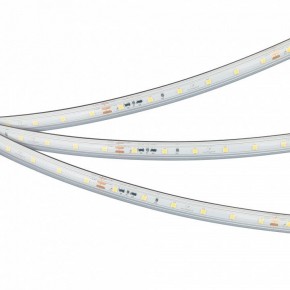 Лента светодиодная Arlight IC-PS-A60-10mm 24V 050656 в Озерске - ozersk.mebel24.online | фото