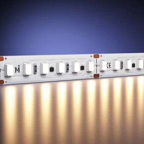 Лента светодиодная Maytoni  201121 в Озерске - ozersk.mebel24.online | фото 2