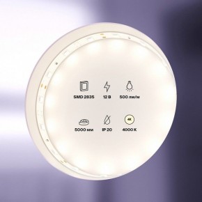 Лента светодиодная Maytoni Led strip 10103 в Озерске - ozersk.mebel24.online | фото 2