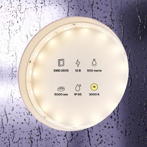 Лента светодиодная Maytoni Led strip 10105 в Озерске - ozersk.mebel24.online | фото 2