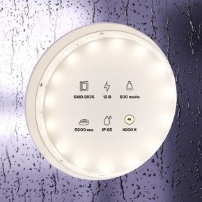 Лента светодиодная Maytoni Led strip 10106 в Озерске - ozersk.mebel24.online | фото 2