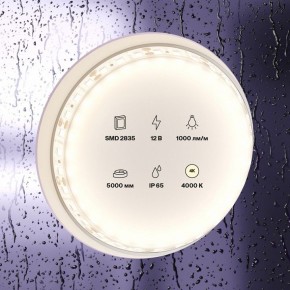 Лента светодиодная Maytoni Led strip 10112 в Озерске - ozersk.mebel24.online | фото 2