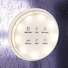 Лента светодиодная Maytoni Led strip 10124 в Озерске - ozersk.mebel24.online | фото 2