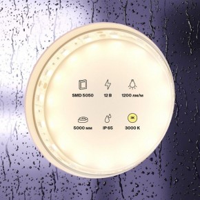 Лента светодиодная Maytoni Led strip 10131 в Озерске - ozersk.mebel24.online | фото 3