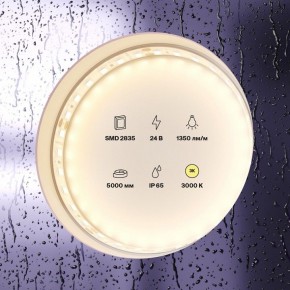 Лента светодиодная Maytoni Led strip 10151 в Озерске - ozersk.mebel24.online | фото 3