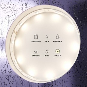 Лента светодиодная Maytoni Led strip 10164 в Озерске - ozersk.mebel24.online | фото 2