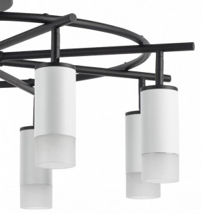 Люстра на штанге Lightstar Rullo LR7183681 в Озерске - ozersk.mebel24.online | фото 4
