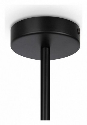 Люстра на штанге Maytoni Memory MOD177PL-04B в Озерске - ozersk.mebel24.online | фото 4