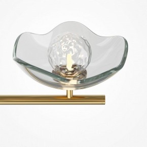 Люстра на штанге Maytoni Miracle MOD207PL-05BS в Озерске - ozersk.mebel24.online | фото 5