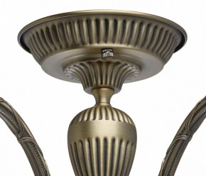 Люстра на штанге MW-Light Аманда 6 481011805 в Озерске - ozersk.mebel24.online | фото 10