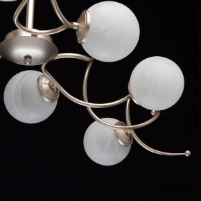 Люстра на штанге MW-Light Оливия 5 306012709 в Озерске - ozersk.mebel24.online | фото 10