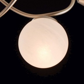 Люстра на штанге MW-Light Оливия 5 306012709 в Озерске - ozersk.mebel24.online | фото 6
