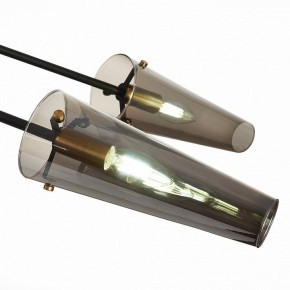 Люстра на штанге ST-Luce Morave SL1209.302.06 в Озерске - ozersk.mebel24.online | фото 9