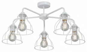 Люстра на штанге Vitaluce V3102 V3102-0/5PL в Озерске - ozersk.mebel24.online | фото