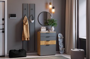 МЕБЕЛЬСОН К21 Прихожая в Озерске - ozersk.mebel24.online | фото 2