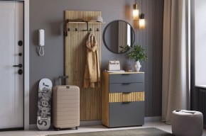 МЕБЕЛЬСОН К3 Прихожая в Озерске - ozersk.mebel24.online | фото 2
