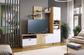 МОДИ К1 Гостиная (белое дерево) в Озерске - ozersk.mebel24.online | фото