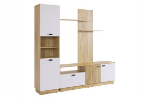 МОДИ К1 Гостиная (белое дерево) в Озерске - ozersk.mebel24.online | фото 6