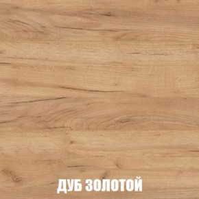 МСП-1 Шкаф 2-х створчатый (Дуб Золотой/Камень темный) в Озерске - ozersk.mebel24.online | фото 4