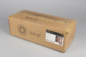 Накладной светильник Aployt Milunia APL.050.01.10 в Озерске - ozersk.mebel24.online | фото 8