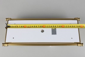 Накладной светильник Aployt Zoe APL.806.01.02 в Озерске - ozersk.mebel24.online | фото 9