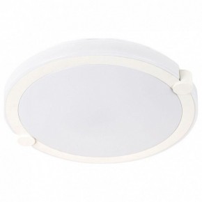 Накладной светильник Arte Lamp Biscotti A2679PL-72WH в Озерске - ozersk.mebel24.online | фото