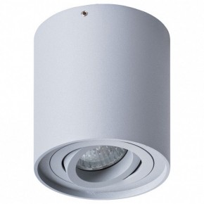 Накладной светильник Arte Lamp Falcon A5645PL-1GY в Озерске - ozersk.mebel24.online | фото