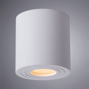 Накладной светильник Arte Lamp Galopin A1460PL-1WH в Озерске - ozersk.mebel24.online | фото 2