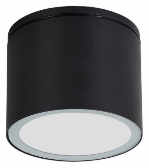 Накладной светильник Arte Lamp Piautos A1913PF-1BK в Озерске - ozersk.mebel24.online | фото