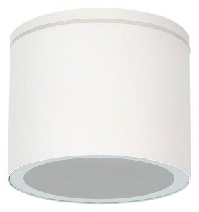 Накладной светильник Arte Lamp Piautos A1913PF-1WH в Озерске - ozersk.mebel24.online | фото