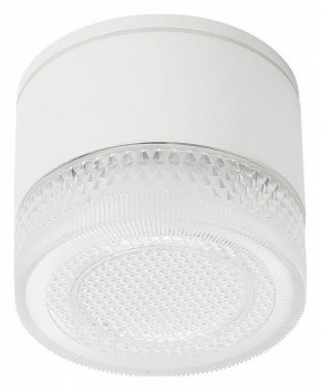 Накладной светильник Arte Lamp Piautos A1926PF-1WH в Озерске - ozersk.mebel24.online | фото