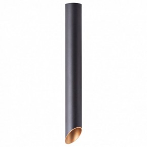 Накладной светильник Arte Lamp Pilon-Gold A1537PL-1BK в Озерске - ozersk.mebel24.online | фото