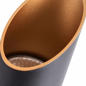 Накладной светильник Arte Lamp Pilon-Gold A1537PL-1BK в Озерске - ozersk.mebel24.online | фото 3