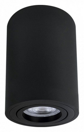 Накладной светильник Arte Lamp Sentry A1566PL-1BK в Озерске - ozersk.mebel24.online | фото