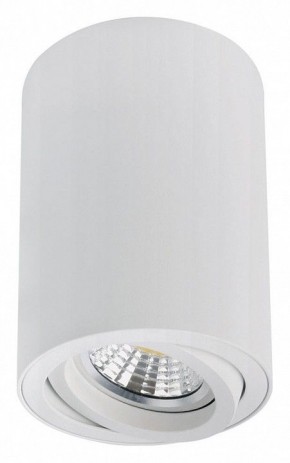 Накладной светильник Arte Lamp Sentry A1566PL-1WH в Озерске - ozersk.mebel24.online | фото