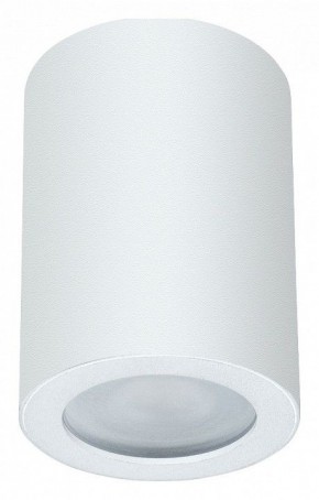 Накладной светильник Arte Lamp Tino A1468PL-1WH в Озерске - ozersk.mebel24.online | фото