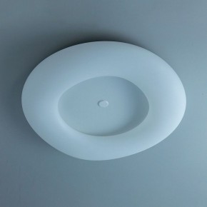 Накладной светильник Citilux Стратус Смарт CL732A800G в Озерске - ozersk.mebel24.online | фото 10