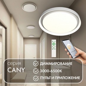 Накладной светильник Denkirs Cany DK6516-WH в Озерске - ozersk.mebel24.online | фото 4